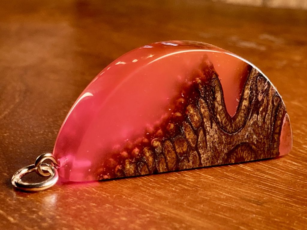 Anhänger aus australischem Banskiazapfen